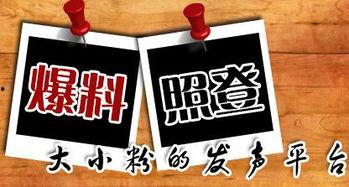 新闻爆料平台陕西,聚焦本土热点，揭示社会现象  第1张