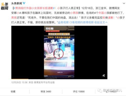 辽宁男孩爆料事件视频播放,揭秘事件背后真相